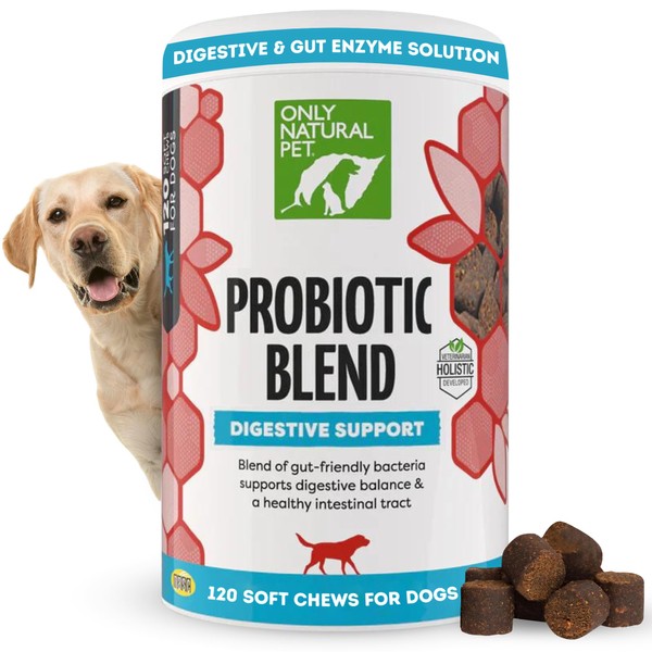 Only Natural Pet Probiotic Dog and Cat Supplement - Digestive
