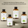 Eucalyptus Essential Oil | 100% Pure and Natural | 4