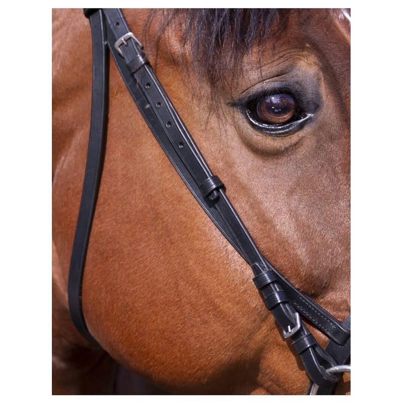 Riding World Bridle Bridle French Black Horse