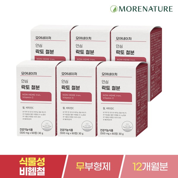 More Nature [On Sale] More Nature Iron Lactobacillus Derived Iron Supplement - 6 Pieces / 모어네이처 [온세일]모어네이처 철분 유산균 유래 철분제-6개