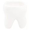 Muna Maceta Forma Muela Consultorio Dentista Odontólogo Grande