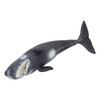 Realistic Sperm Whale Replica Simulated Marine Animal Model Educational Collector