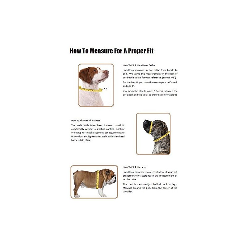 Hamilton Adjustable Comfort Nylon Dog Harness, Mango Orange, 3/8" x