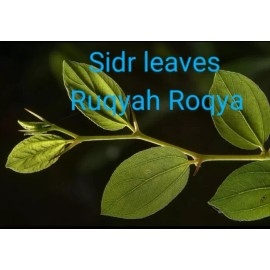 dried Sidr leaves,lote Leaves Ruqyah, Roqya, Destroy Magic and Evil Eye, 4 oz.
