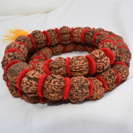 5 Mukhi Rudraksha Kantha Mala Lab Certified Lord SHIVA Most POWERFUL Kantha Mala Large Rudraksha Seed Beads 54 Beads Prayer Meditation Mala