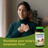 Herbs Etc. Lymphatonic Softgels - Lymph System Support - Support