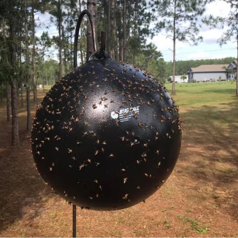 Bug Ball Deluxe Kit - Biting Fly and Insect Trap,