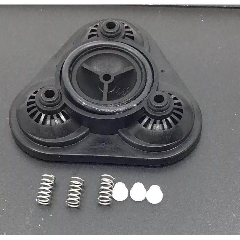 Hypro Shurflo Pump 8000 Series Valve Kit EPDM with Bypass