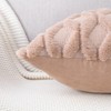 Madizz Set of 2 Soft Plush Short Wool Velvet Decorative