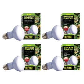 Exo Terra Daylight Basking Spot Lamp 50w