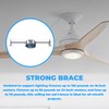 OHLECTRIC Saf-T-Bar for Ceiling Fan and Light Fixture - Ceiling