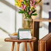 Worthy: 366 Mindful Moments to Bring Clarity and Peace to