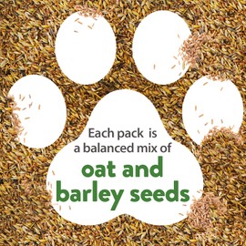 HOME GROWN HOME GROWN Cat Grass Seeds (6oz) - Barley & Oat Seeds Mix - Keep Pets Healthy with Cat Grass for Indoor Cats - Cat Grass Seeds Bulk - Refill Cat Grass Growing Kit-100% Non-GMO, Heirloom Cat Grass Seed