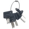 GAOHOU Pack of 6 Forklift Ignition Keys Crown Ignition Key