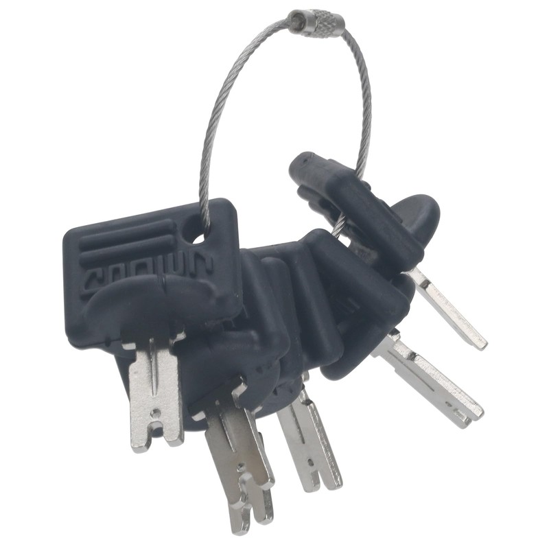 GAOHOU Pack of 6 Forklift Ignition Keys Crown Ignition Key