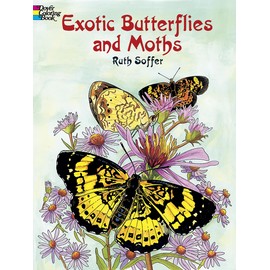 Exotic Butterflies and Moths Coloring Book