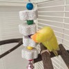 1PC Pet Teeth Grinding Volcanic Rock Toy for Parrots Hamsters
