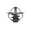 Blue Print ADD69202 Thermostat with Gasket, Pack of 1