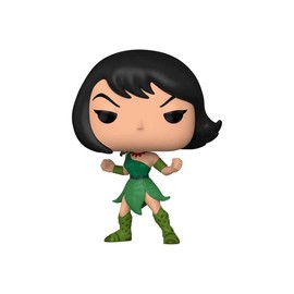 Funko Pop! Animation: Samurai Jack - Ashi, Multicolor