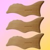 3 Aromatica Dolphin Face Massager Gua Sha / 3개 아로마티카 돌고래페이스 마사저 괄사