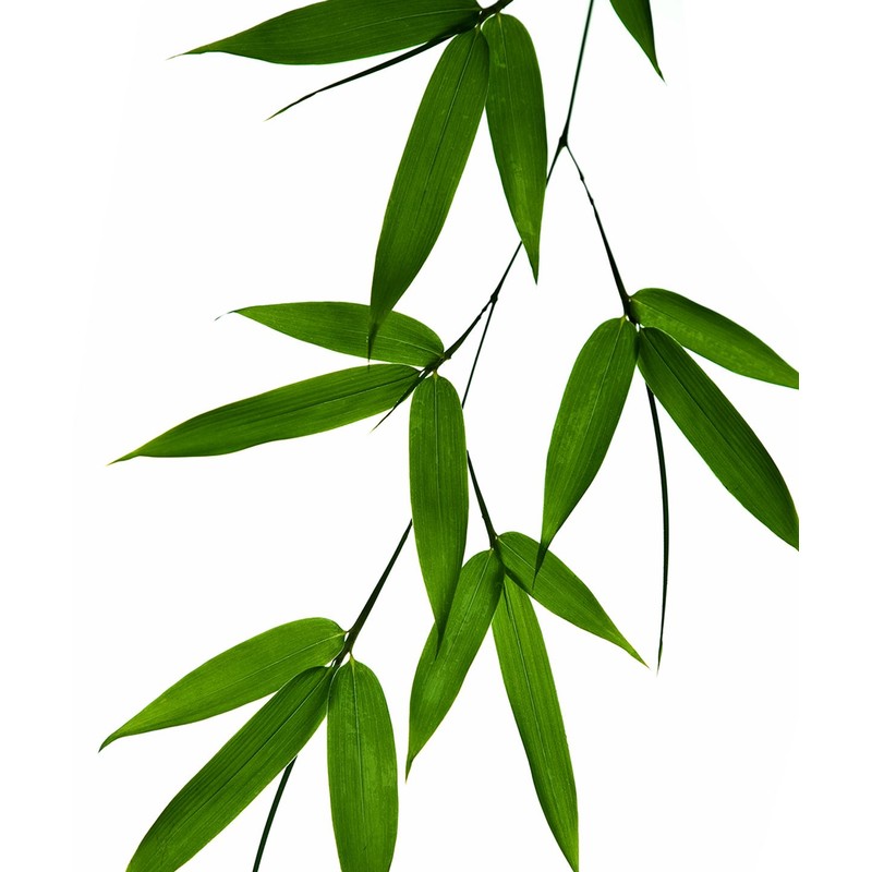 Rubum Rubium [Moist and Refreshing Close-Fitting Sunscreen] Hyaluronic Acid Moisture