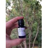 REOoils Patchouli Essential Oil from India, Pogostemon Cablin, 10 mL