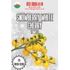 Cherry Tomato Seeds (Snowberry White Cherry)