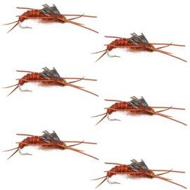 The Fly Fishing Place Bead Head Nymph Fly Fishing Flies - Kaufmann's Brown Stone Fly with Rubber Legs - Stonefly Wet Fly - 6 Flies Hook Size 6