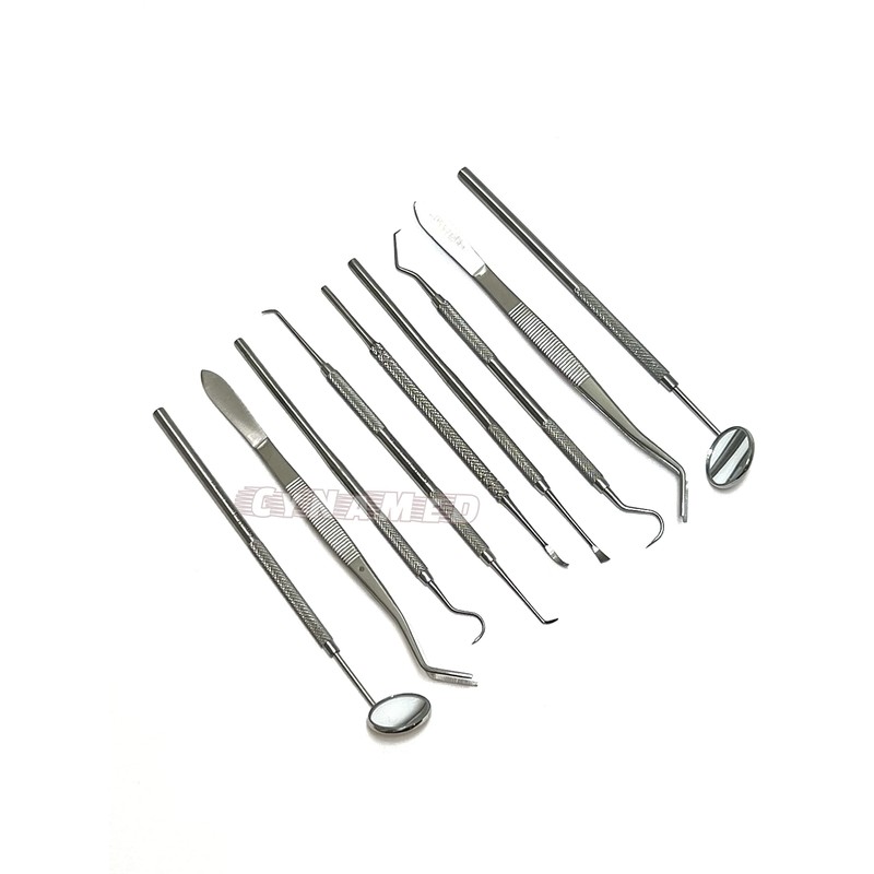 Premium German Dental Scaler Pick Stainless Steel Tools with Inspection