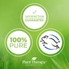 Plant Therapy Top 6 Essential Oil Blends Set 100% Pure,