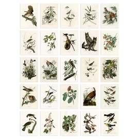 Artery8 Set Pack of 50 John James Audubon Birds of America Illustrations Collage Kit Bedroom A6 14.8 x 10.5 cm (5.8 x 4.1)