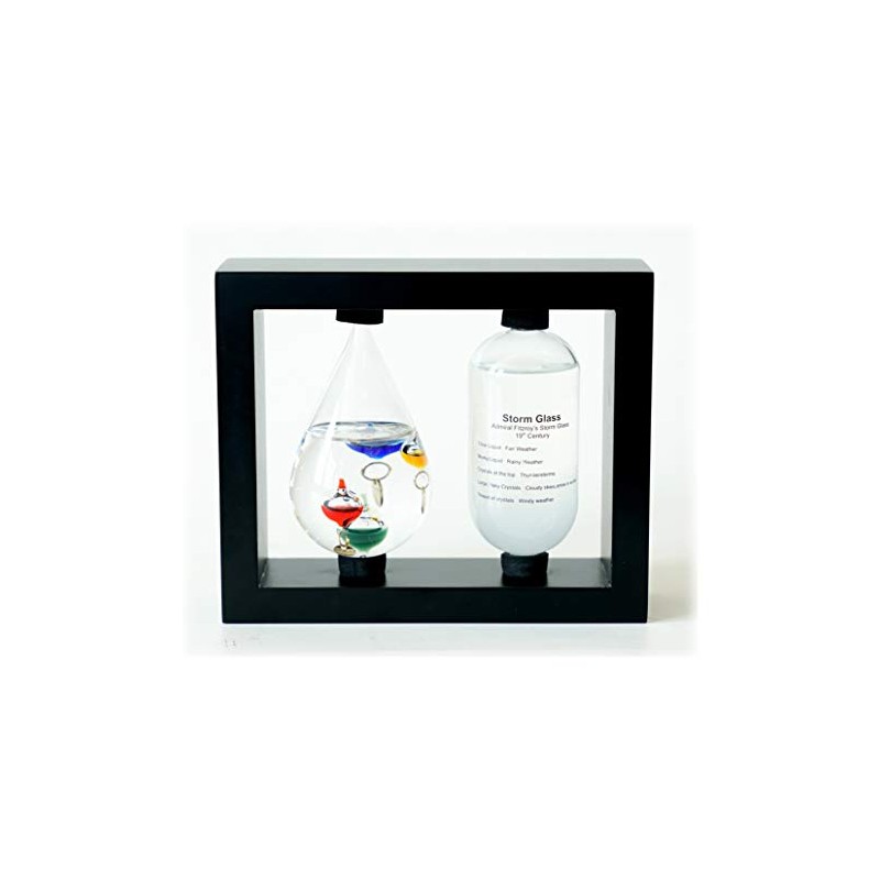 Weather Station Stormy grass and galileo thermometer (STEM)