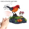 Singing Chirping Bird Electronic Talking Repeating Parrot Electric Animal Toy