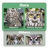 Lifreer 5PCS Owl Shape Bird Reflective Deterrents Owl Hanging Decoration