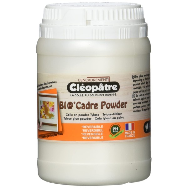 Cléopâtre BIO'Frame Powder Glue for Tylose Powder Frames, White, 100