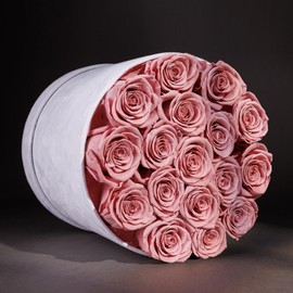 17 Flowers in a Luxury Suede Box, Birthday Gifts for Women, Preserved Flowers, Mothers Day Roses Gift for Mom, Dusty Rose