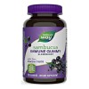 Elderberry 50 Mg Sambucus Soporte Inmune 120 Gomitas Sabor S/n