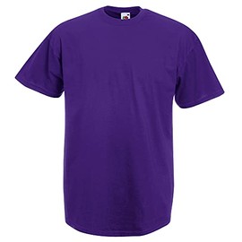 Fruit of the Loom Men's Short-Sleeved T-Shirt - purple, size: l