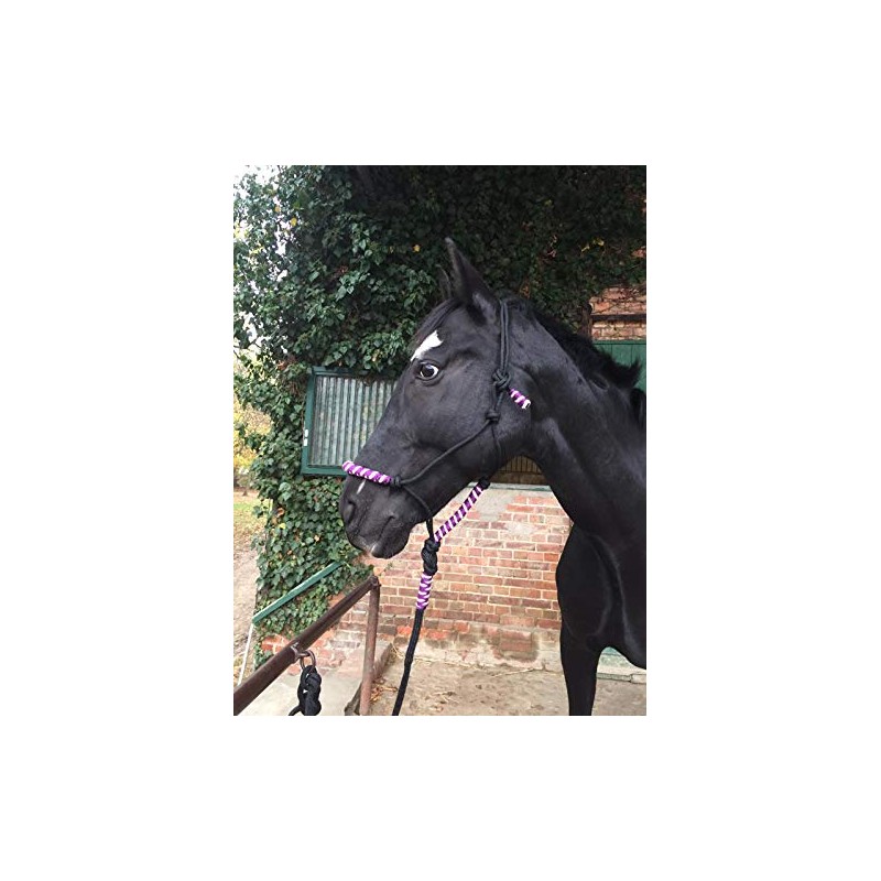 Knot Halter with Rope for Horses - Padded Nose and