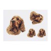 Azeeda 4 x 'Braunes Cocker Spaniel Hundeporträt' Temporäre Tattoos -
