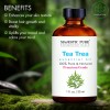 Tea Tree Essential Oil | 100% Pure and Natural |