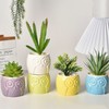 Cuteforyou Succulent Pots,Cute Cartoon Animal Owl Shaped Ceramic Succulent Cactus