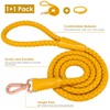 Soft Leather Dog Leash and Collar Set, Stylish Sturdy Braided