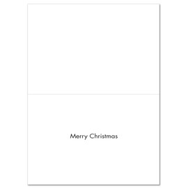 The Best Card Company - 12 Boxed Christmas Note Cards with Envelopes - Assorted Funny Animals, Holiday Greeting Cards for Kids - Merry Christmas to Zoo B6652CXSG