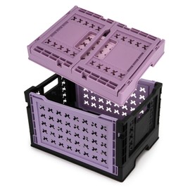 Domiella 2-Pack Foldable High-Strength PP Ventilated Baskets - Collapsible Storage Bins for Kitchen, Camping, Office & Home, Wear Resist Indoor Outdoor Organizer, Small Black-Purple & Pink-Purple