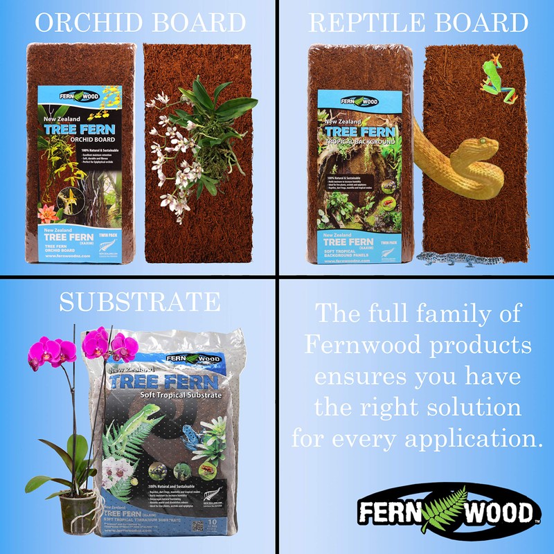 Fernwood Tree Fern Orchid Mounting Board- Soft, Durable, and Fibrous