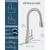 FORIOUS Kitchen Faucet with Pull Down Sprayer, Brushed Nickel, Classic