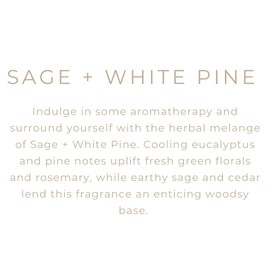 River Birch Candles Sage + White Pine Scented Candle | Premium, All-Natural, Non-Toxic, Soy Candles | 16oz 90 Hr Burn Time | Cozy Relaxing Gifts for Home