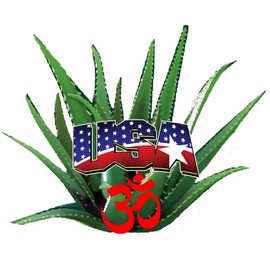 Glucosamine Chondroitin with MSM & Collagen Cream 4 FL Oz cream Arthritis