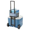 Coleman Cooler Box Extreme Ice Cooler 15L Soft Cooler